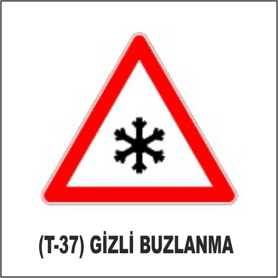 (T-37) GİZLİ BUZLANMA